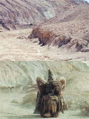 Desolation Canyon