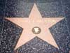 Samuel L Jackson's star
