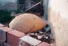 Ajim, Tunisia: Fiberglass dome behind the cantina