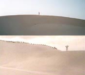 Dune Sea